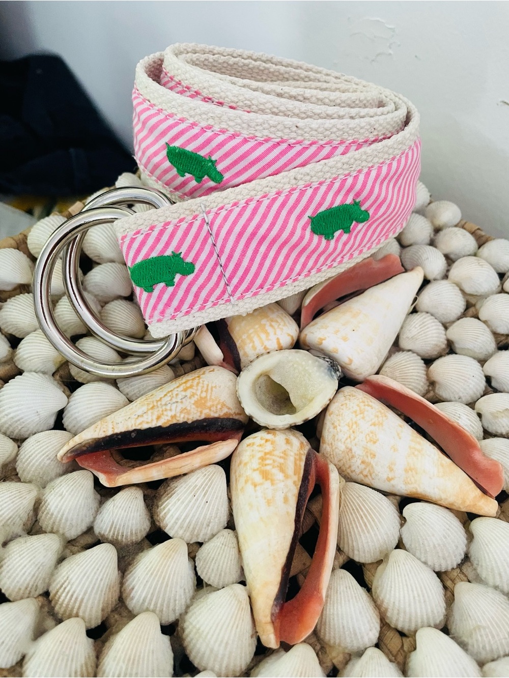J. Crew Pink Striped Belt with Green Embroidered Hippo and Silver Rings - Picture 7 of 14